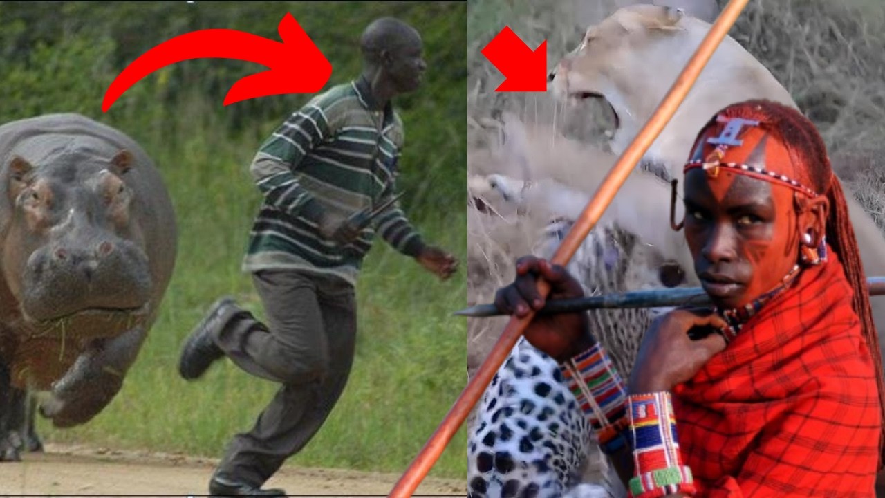 As PIORES Criaturas Africanas que farão você CORRER!