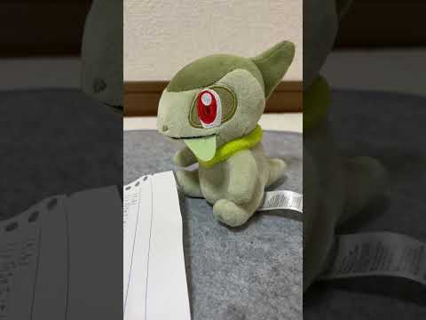 テストで教授をブチギレさせる瞬間　#ポケモン #pokemon #shorts