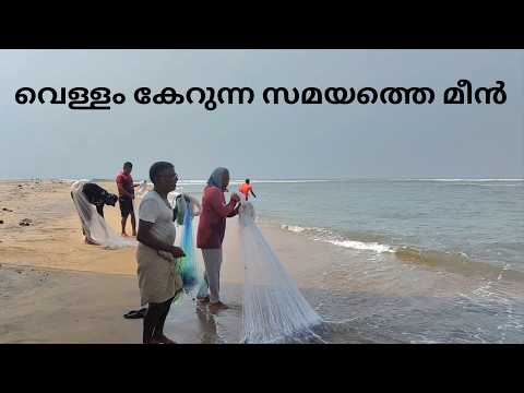 വെള്ളം കേറുന്ന സമയത്തെ മീൻ | fishing | sea fishing | fisherman | fish | fishing malayalam 16.2.26