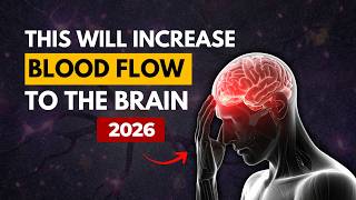 Top 5 Nootropics To Increase Blood Flow To The Brain in 2026