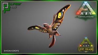 Ark Basics - Sinomacrops and The News