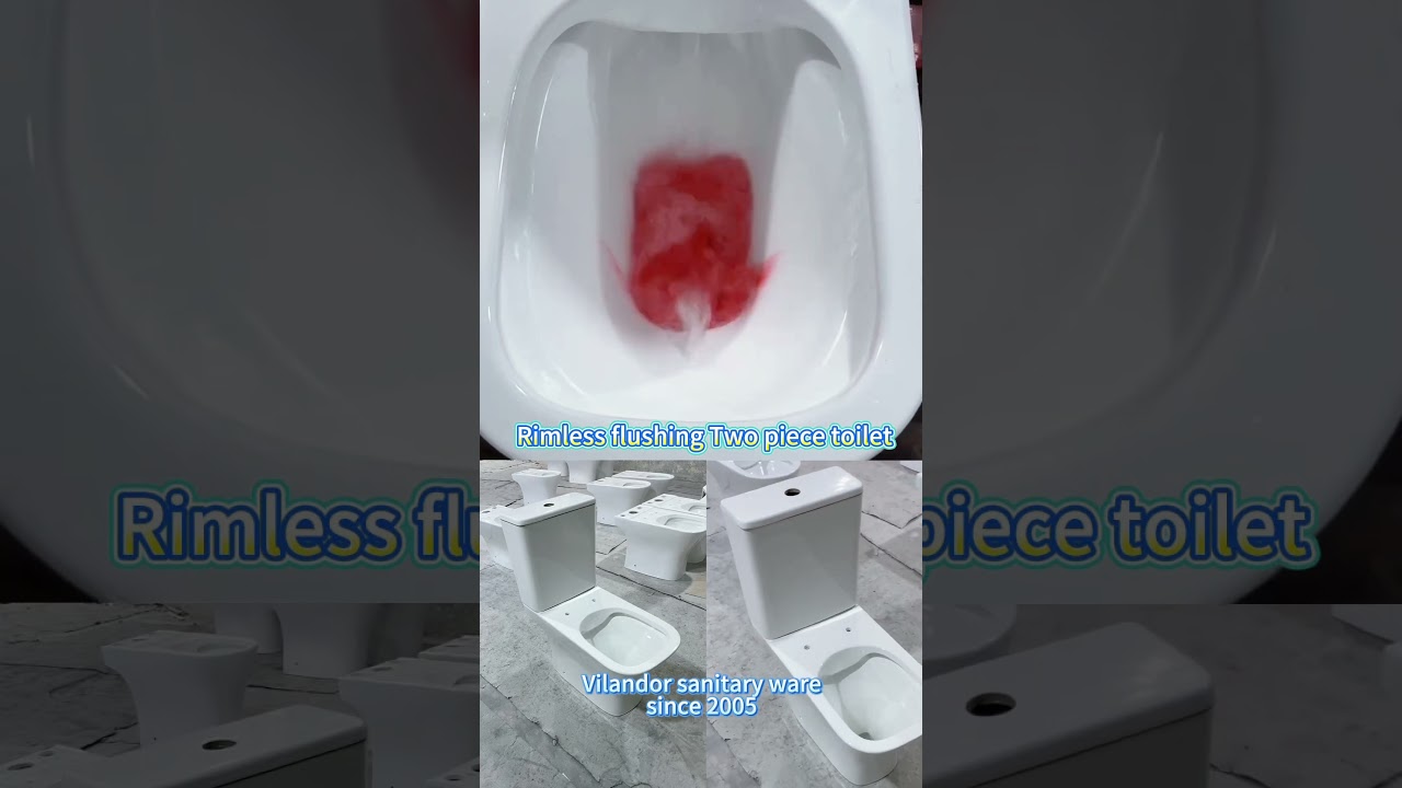 Rimless flushing toilet 