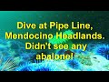 Dive at Pipe Line, Mendocino Headlands  Didn't see any abalone!