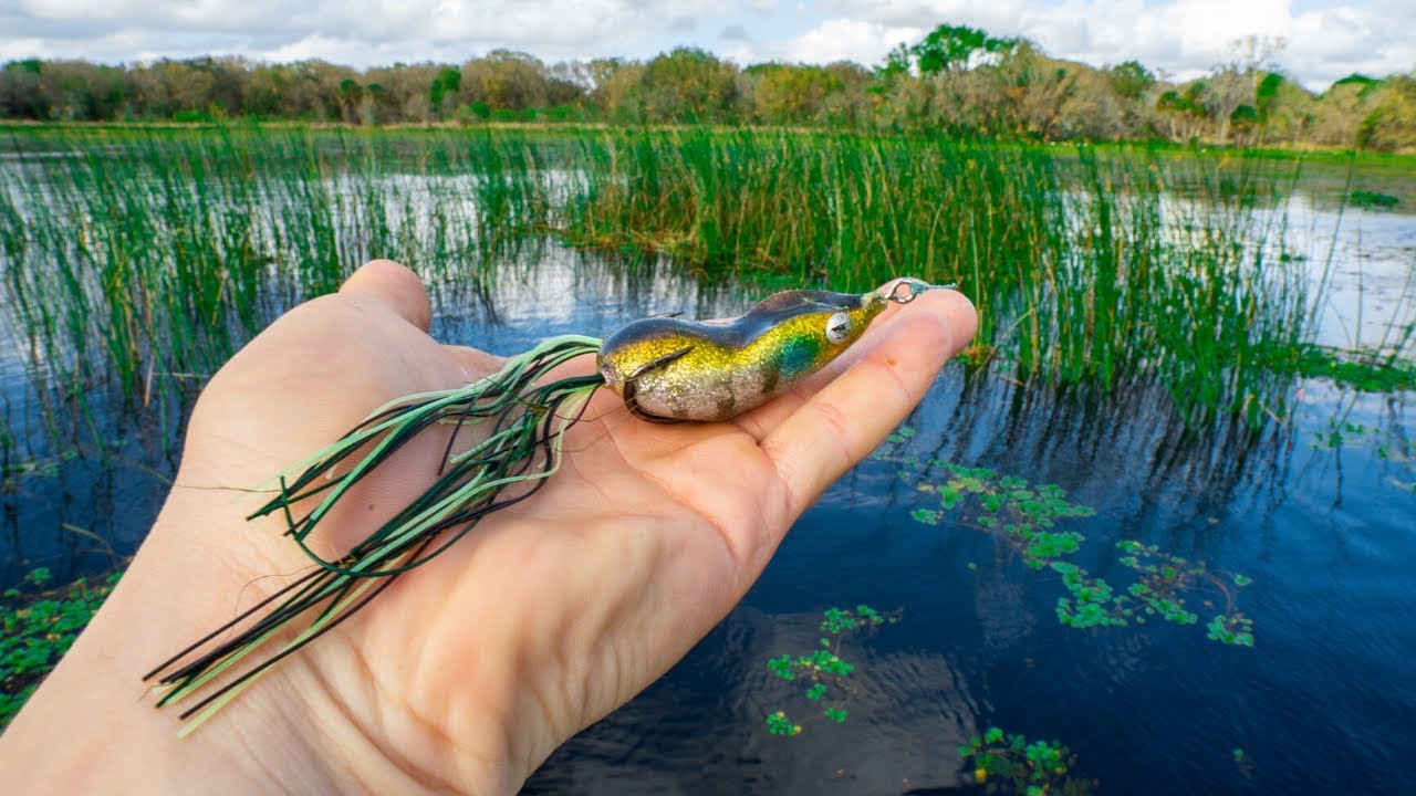One EXPLOSIVE Frog Bite Saved My Day Fishing The Bass Spawn In