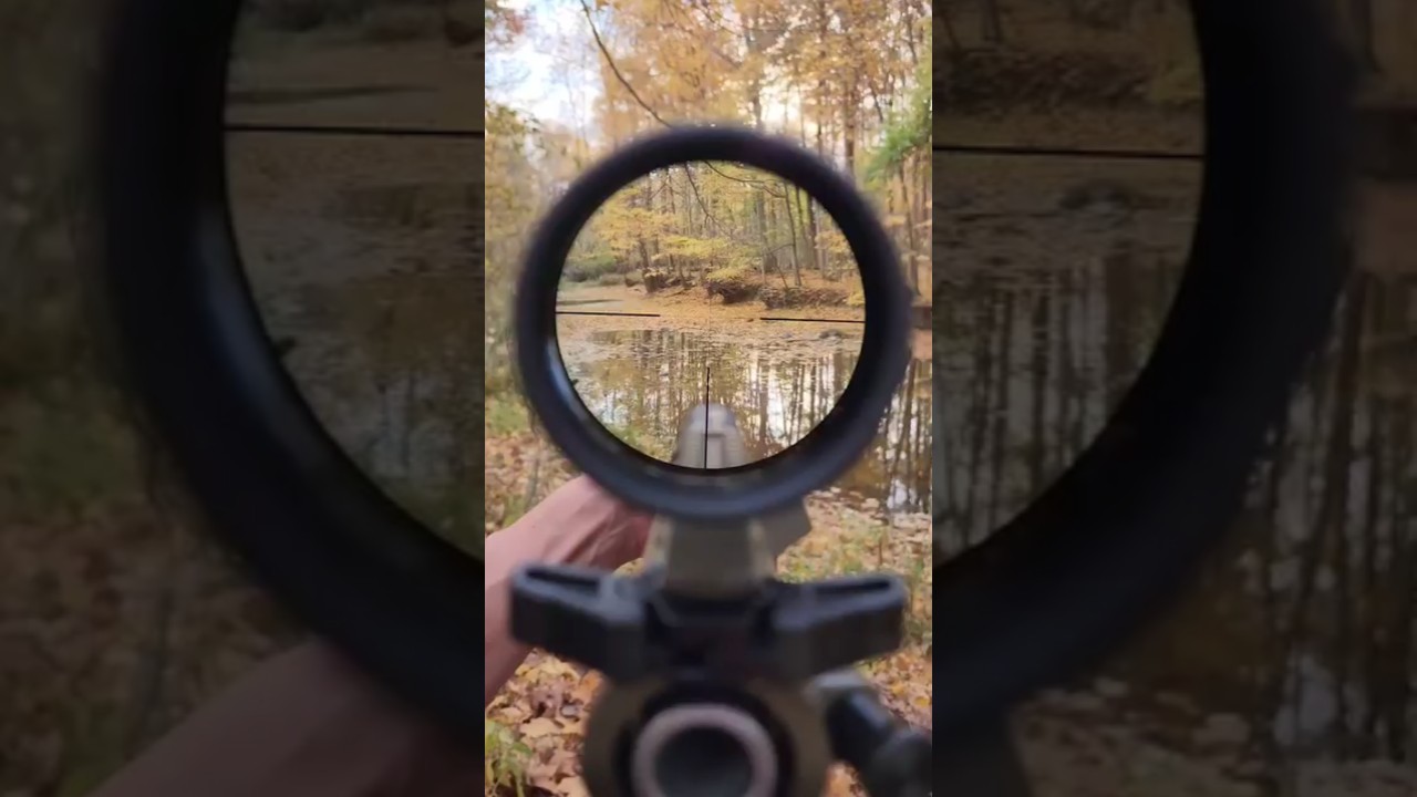New PSA Sabre 308 POV