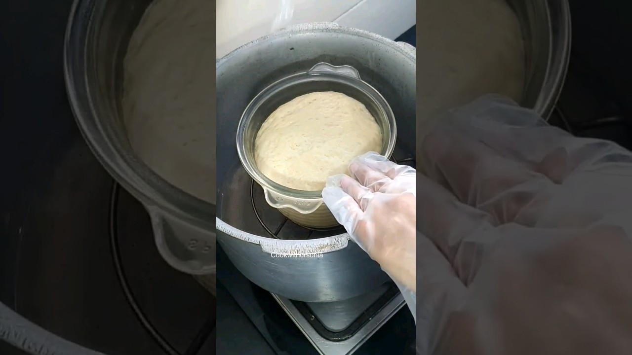 Quick Dough Rise Hack | Tips to rise dough pizza dough bread dough 