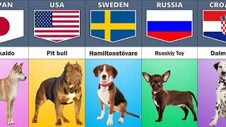 Dog Breeds From Different Countries | Dog Name and Country of Origin | Top Dog Breeds | Dog Breeds