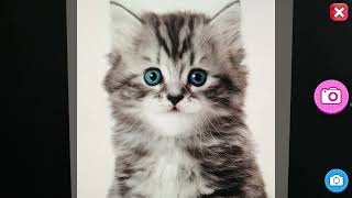 Dress Up Girls - Fashion Games screenshot 5