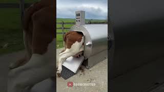 This Machine Does NOT Play By Nature’s Rules 😂