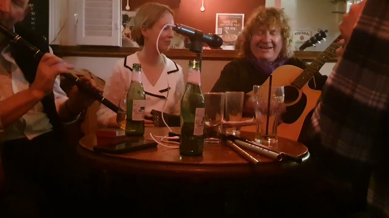 The Rambling Irish Man - Peter Laughlin