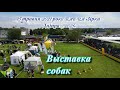 Выставка собак всех пород. Днепр 2021 / клуб "Талисман"