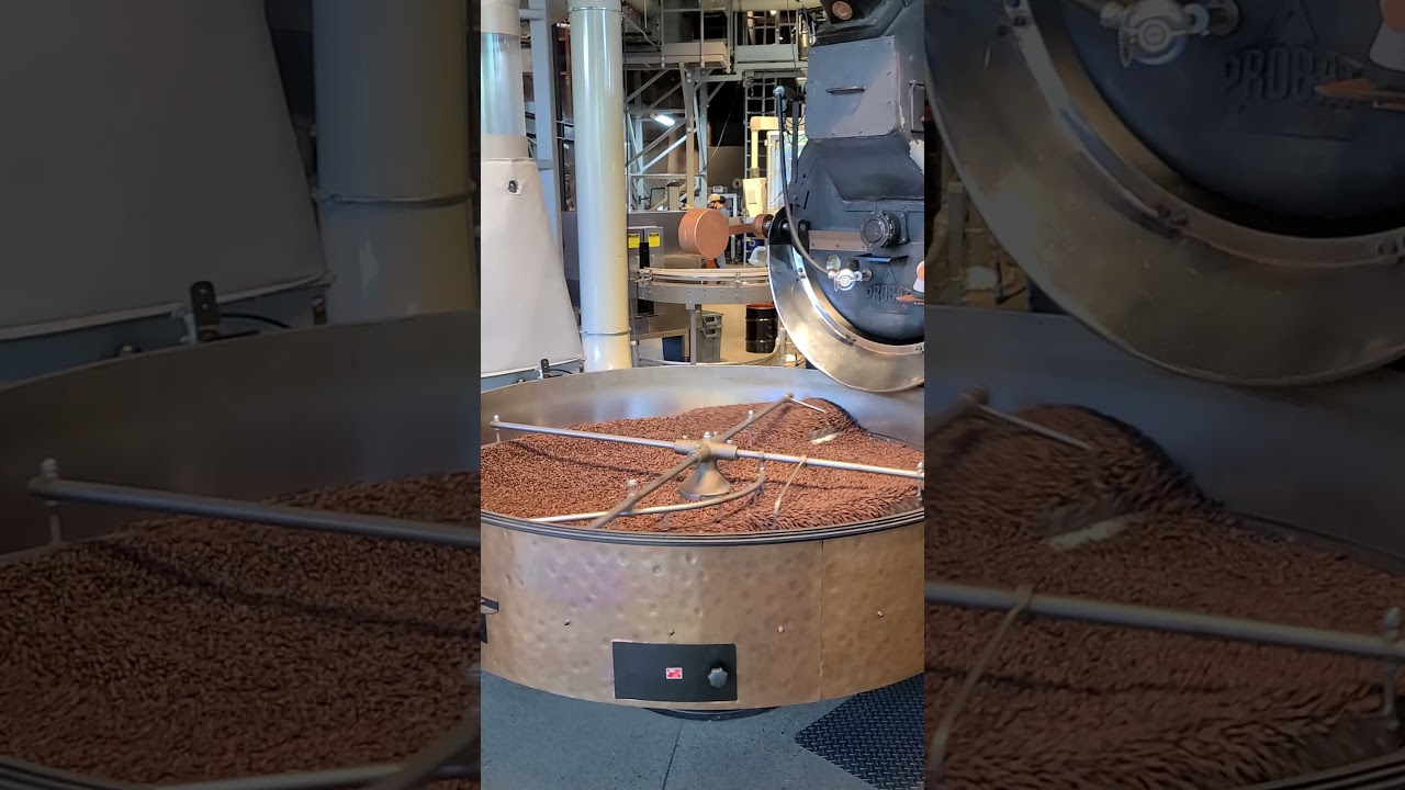 Industrial Coffee Grinder