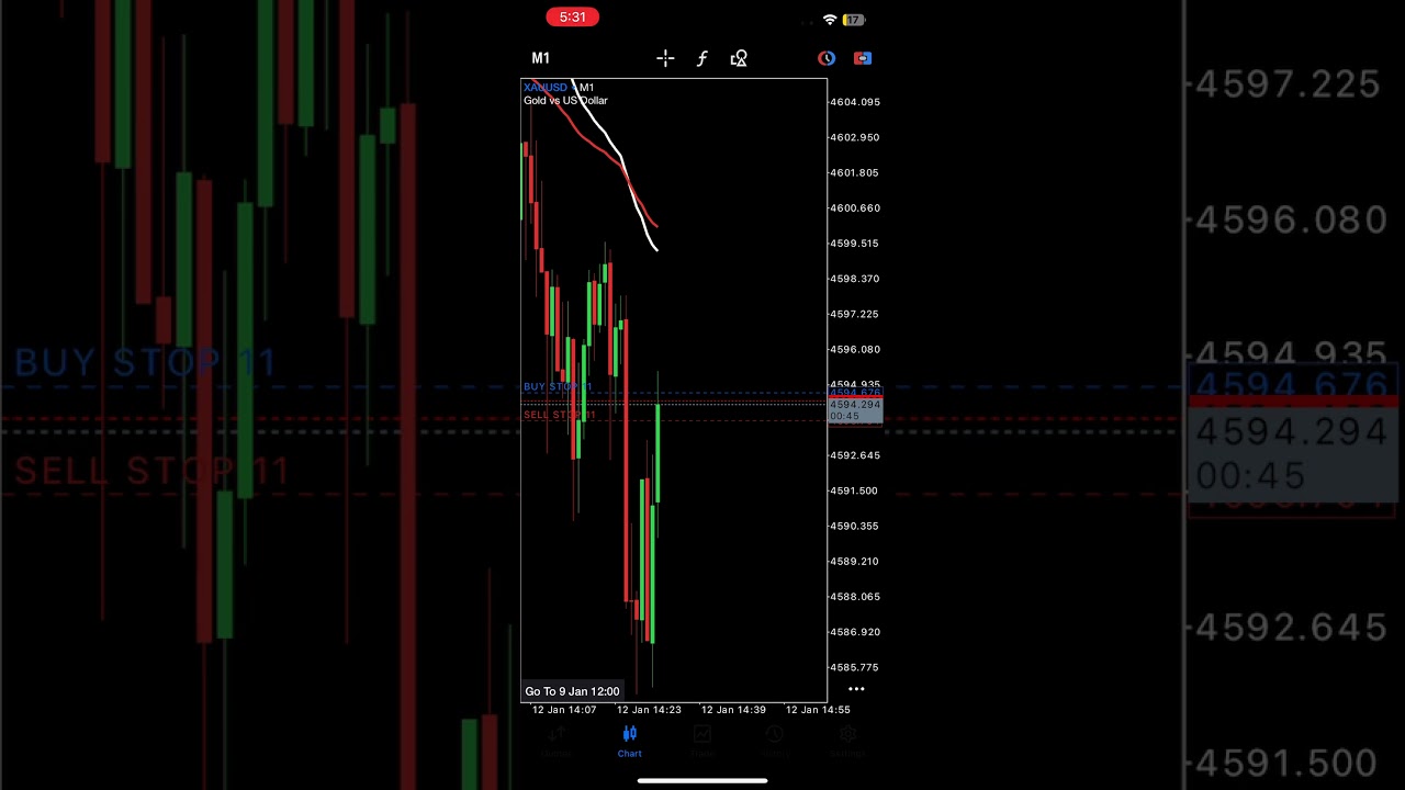 XAUUSD EA Scalping EA 