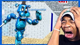 BEAR5 IS IN BALDIS BASICS???...