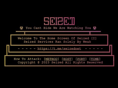 Humiliating RL Servers With the *BEST* Botnet In 2023