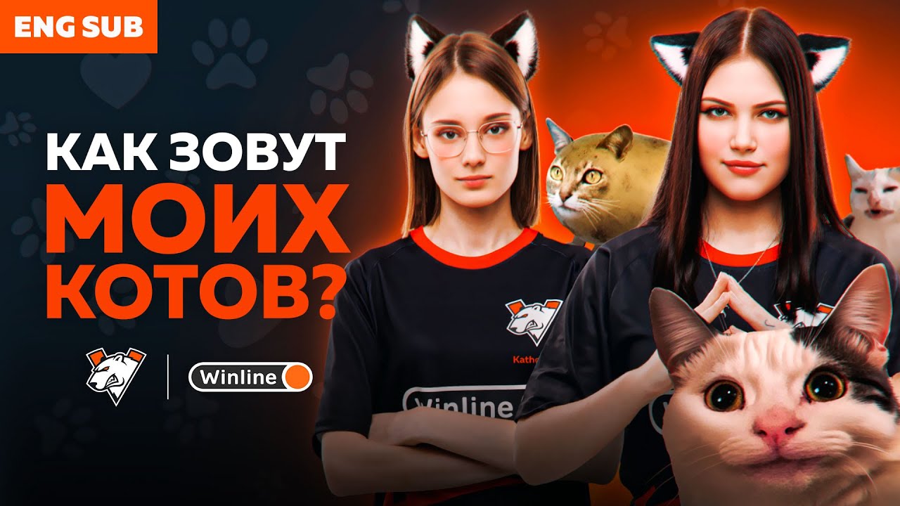 НАСКОЛЬКО ХОРОШО МЕО ЗНАЕТ СВОЮ КОМАНДУ? | VP.ANGELS