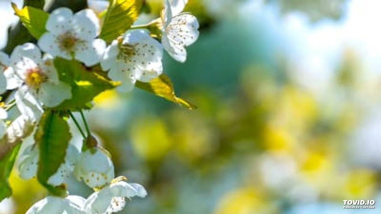 490B Dominion,  1962 London Closed Class