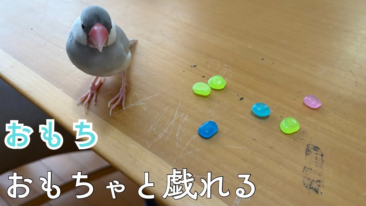 ダンゴ♡⁠˖⁠꒰⁠ᵕ⁠༚⁠ᵕ⁠⑅⁠꒱様 リクエスト 3点 まとめ商品＋1点追加 YouTube