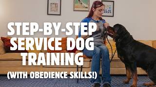 iTrain Academy by American Service Pets: Online Dog Training for ESA, Service Dog & Obedience Skills