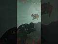catapulting a bug for democracy #helldivers2 #fyp #catapult