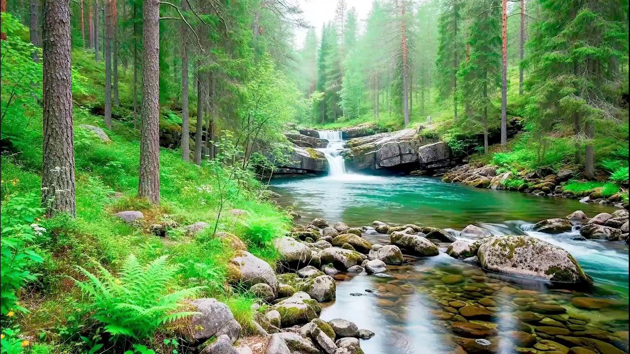 Flowing River Sound for Deep Sleep | Calm Nature Noise for Wellness and Sleep Aid