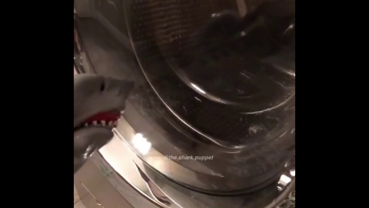 video editing software free Shark Puppet takes a bath