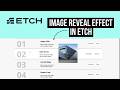 WordPress Tutorial: Image Reveal Effect in Etch