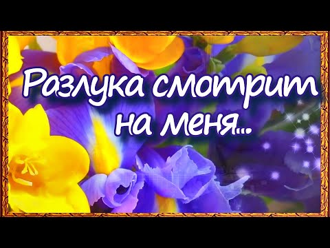 Мой дуэт с мужем - РАЗЛУКА СМОТРИТ НА МЕНЯ ... (Греческая ) М. Теодоракис