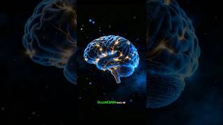 #ibnisina uçan adam deneyi #keşfet #bilim #felsefe