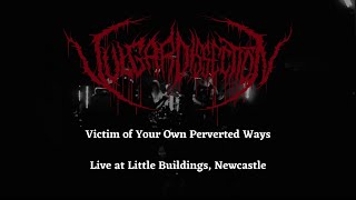 Vulgar Dissection - Victim of Your Own Perverted Ways