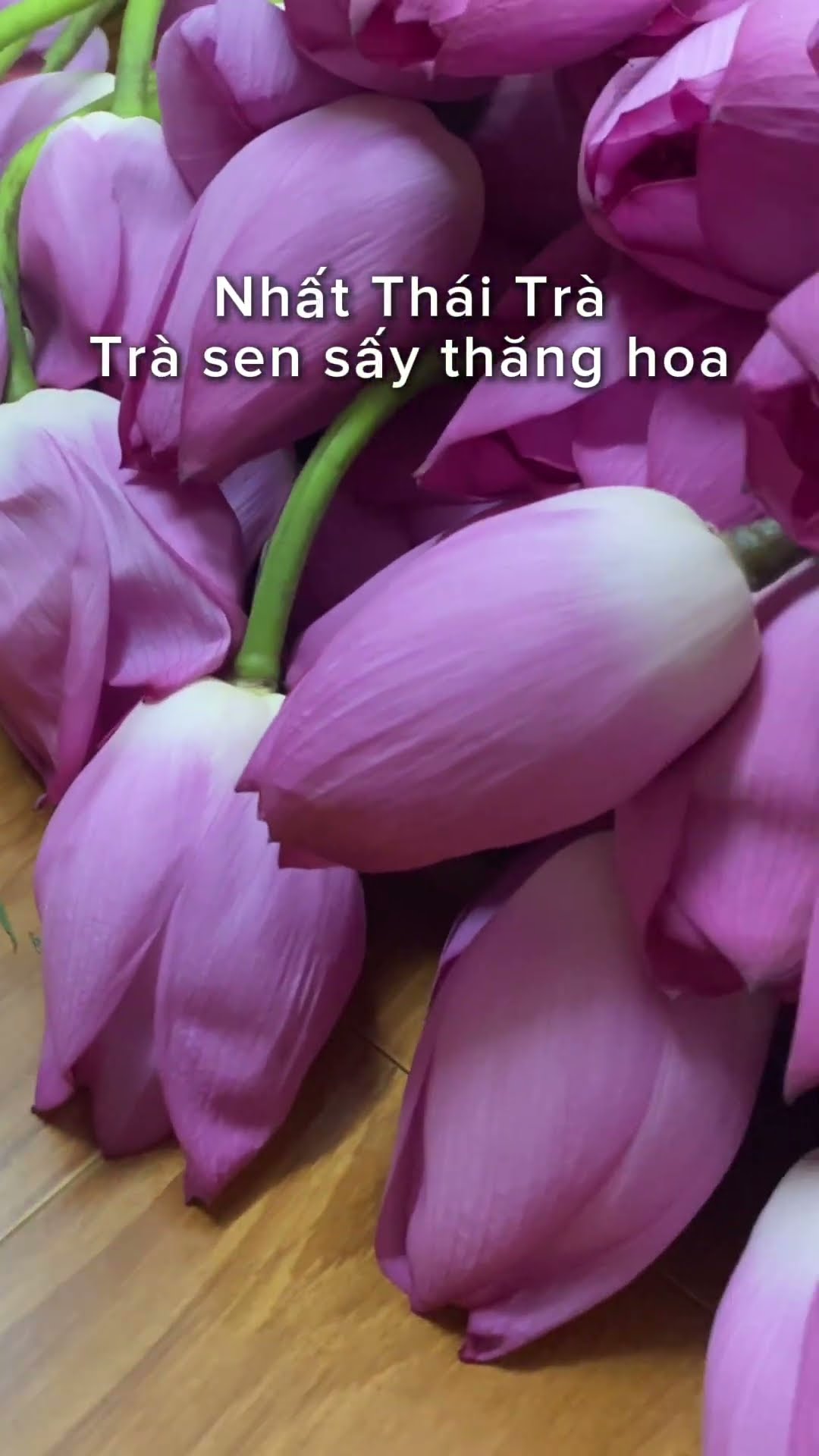 Trà ướp bông sen Nhất Thái Trà