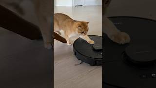 . @DreameUS  Spring Sale—35% off. Link in bio! ✨ #Dreame #DreameL40UltraGen2 #DreameRobotVacuum#spri