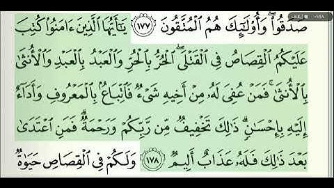 صفحة رقم 27 الشيخ وديع اليمني القرآن الكريم