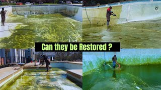 Can they be restored ? | Pool Transformation Compilations | Time-Lapse | Pressure Washing