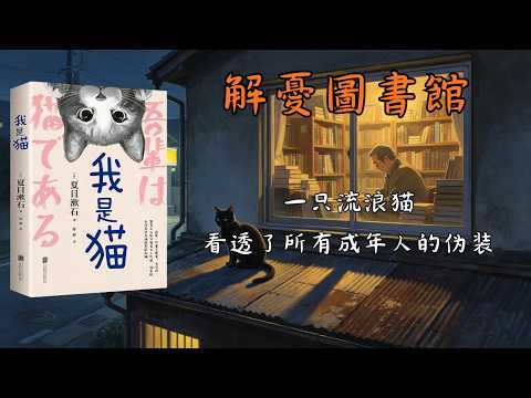 深度解讀《我是貓》：人類這一生，最累的，不是生活本身，而是那個不肯放過自己的自己｜睡前故事｜治癒情緒｜成長認知｜書單推薦｜心理成長｜人生思考｜解憂圖書館