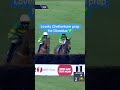 Dinoblue easily wins Cheltenham Festival prep