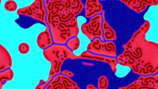 Famous reaction diffusion experiment pr test 05 prs 209 - competing regions with patterns Wealth