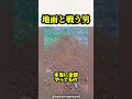 地面と戦う男