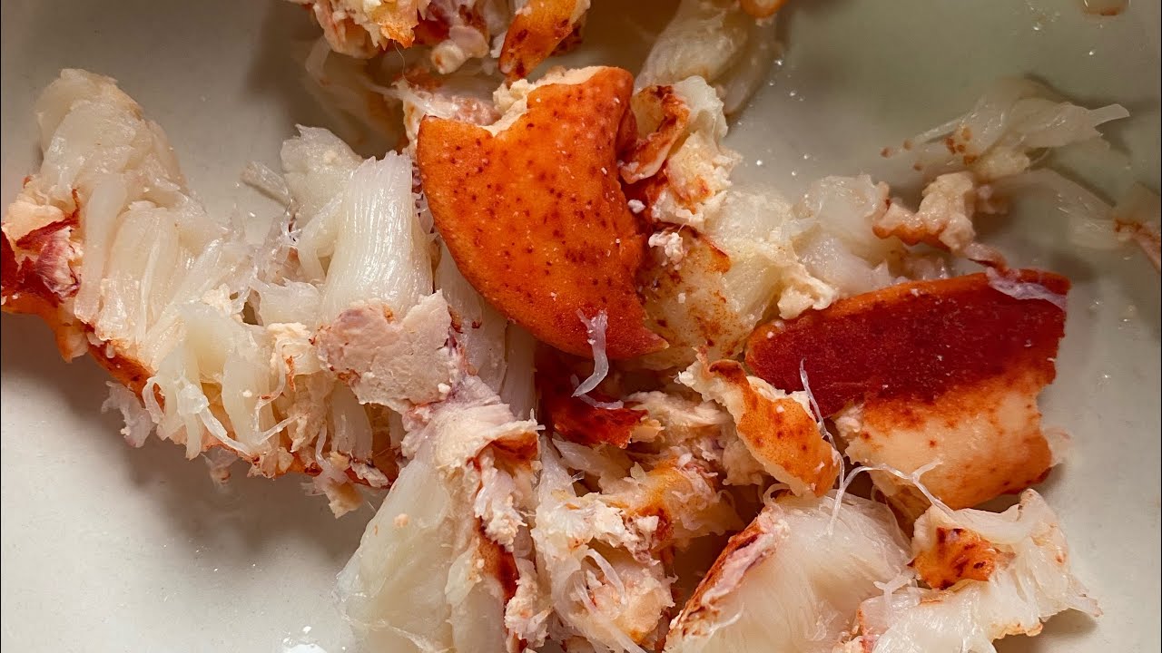 Lobster roll grilled cheese YouTube