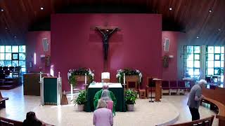 Wednesday of the 14th Week in Ordinary Time: 7/8/26
