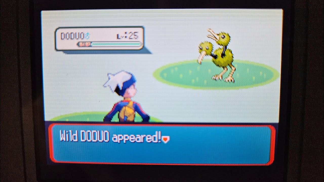 [Pre Safari Week 2025] 3rd Shiny Doduo in the Hoenn Safari Zone (Win or Fail?)