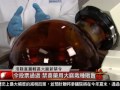 [遠離學校 洛縣投票規範大麻銷售使用]洛城18台晚間新聞06062017
