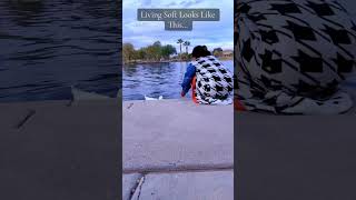 Download Lagu Living in Wholeness Is Soft MP3