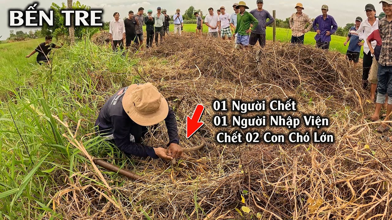 nhan dinh keo nha cai - Cập Nhật Chi Tiết, Phân Tích Đặt Nghiên Liệu Từ Chuyên Gia