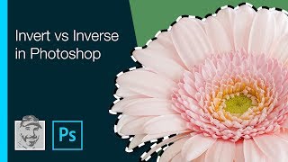 Invert vs Inverse in Photoshop screenshot 1