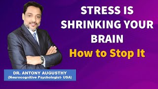 STRESS IS SHRINKING YOUR BRAIN