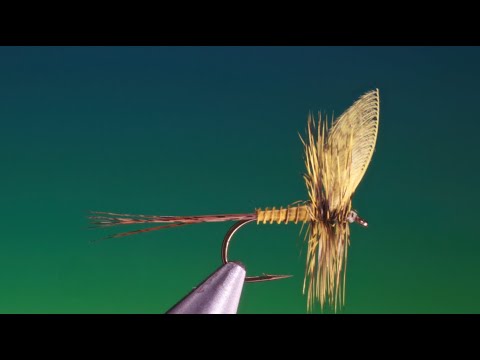 Tying a Yellow May Dun with Barry Ord Clarke
