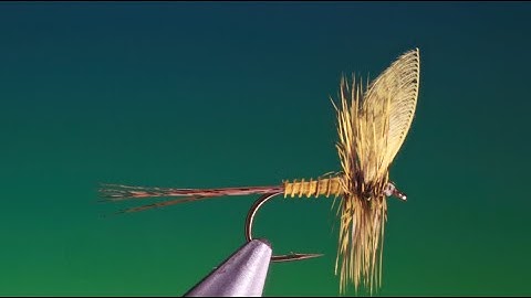 Tying a Yellow May Dun with Barry Ord Clarke