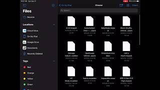 How to fix “Import failed” in Minecraft iOS! screenshot 4
