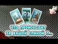 ❗ЧТО ПРОИСХОДИТ ЗА МОЕЙ СПИНОЙ? ЧТО МНЕ НУЖНО ЗНАТЬ УЖЕ СЕЙЧАС? 🍁 Гадание Таро